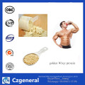 Private Label Protein Powder 90% Powder Whey Protein Isolate